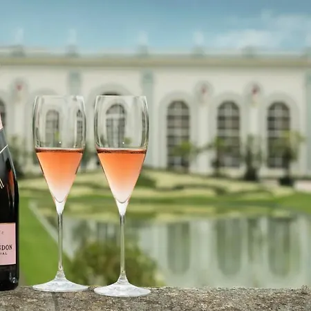 Champagne Therapie: Cosy Chic, Lägenhet *